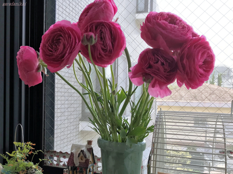 f:id:garadanikki:20180714163125j:plain