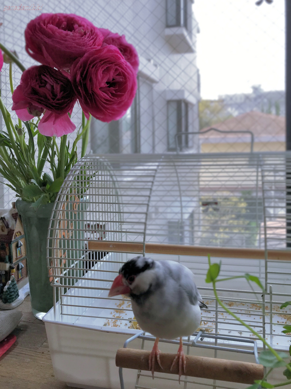 f:id:garadanikki:20180714163126j:plain