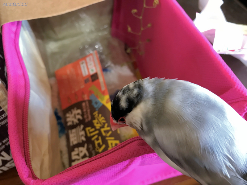 f:id:garadanikki:20180714170623j:plain