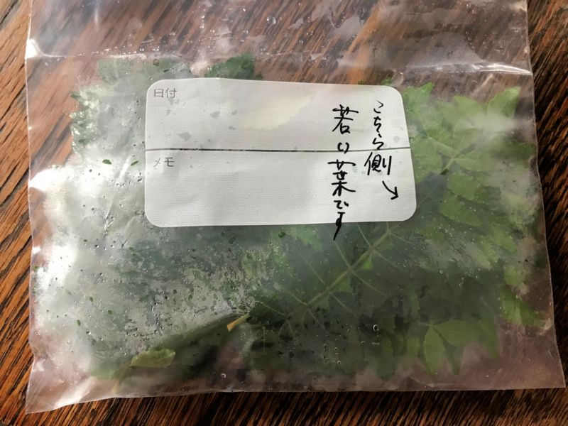 クリックすると大きくなります f:id:garadanikki:20180717152101j:plain