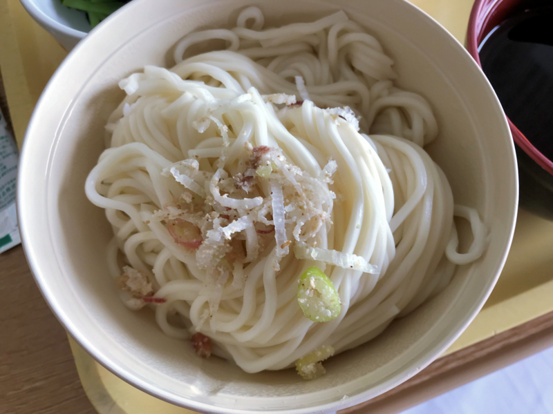f:id:garadanikki:20180730120117j:plain