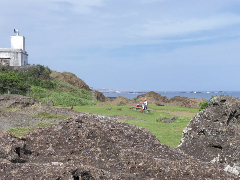 f:id:garadanikki:20180731002811j:plain