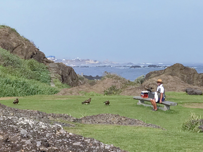 f:id:garadanikki:20180731002813j:plain