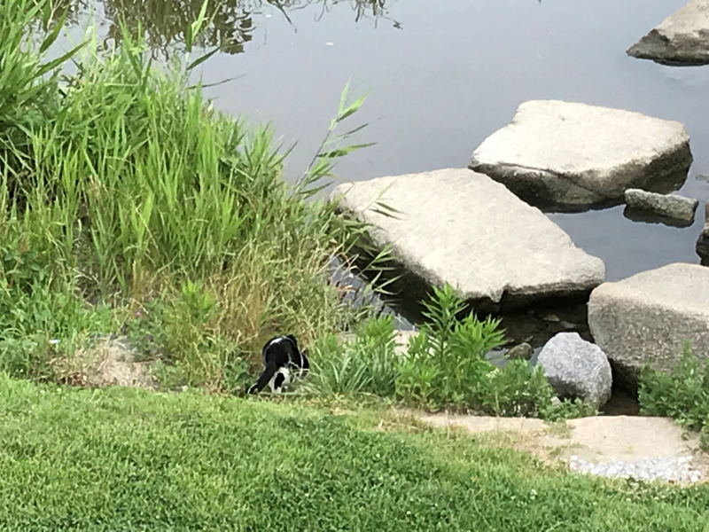 f:id:garadanikki:20180731002821j:plain