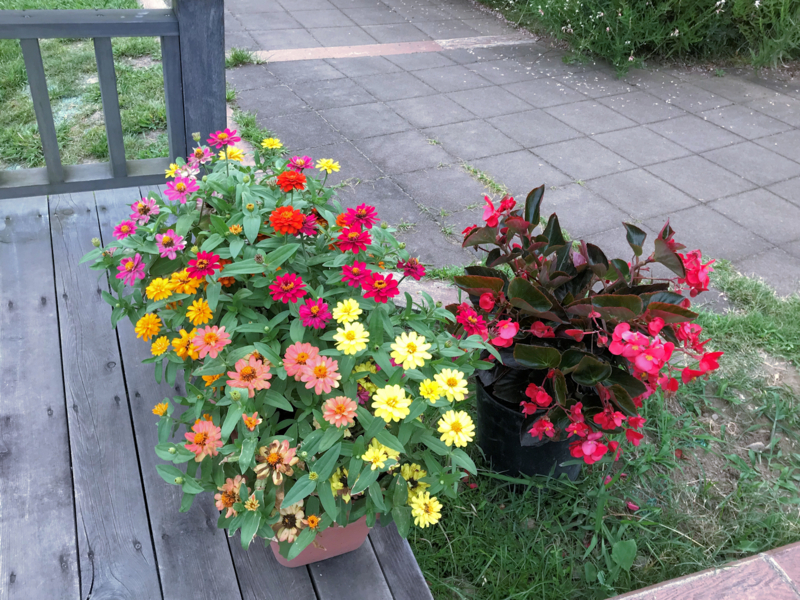 f:id:garadanikki:20180731002823j:plain