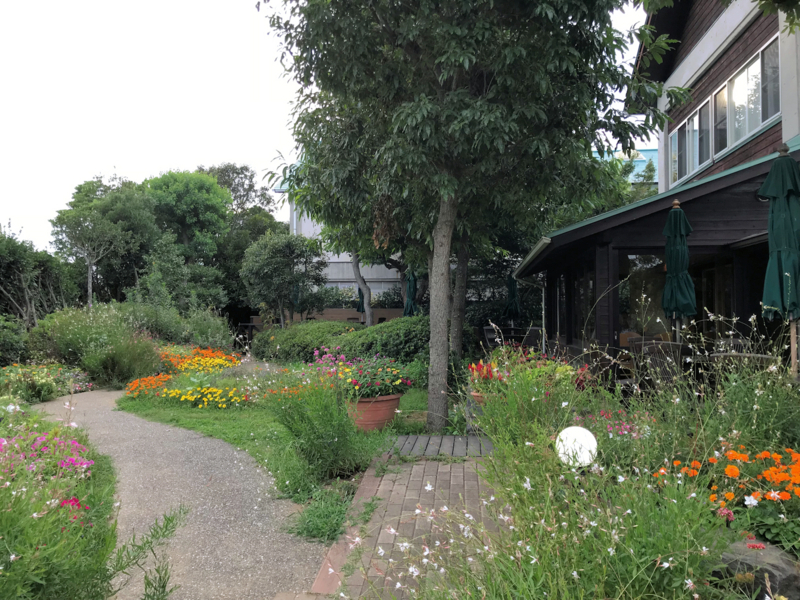 f:id:garadanikki:20180731002824j:plain