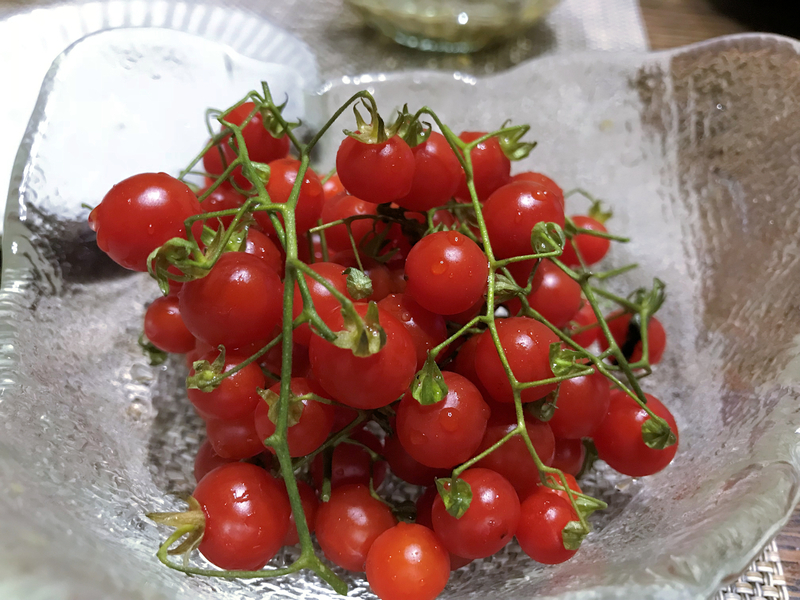 f:id:garadanikki:20180906224322j:plain