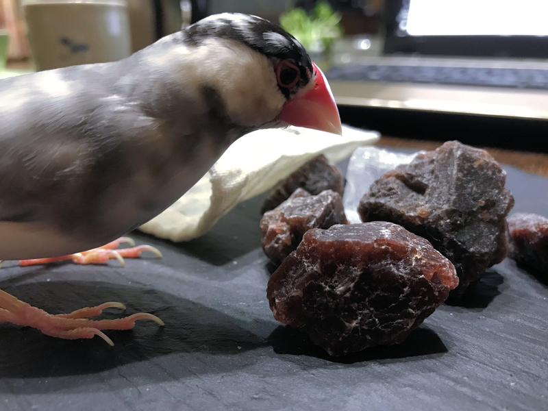 クリックすると大きくなります f:id:garadanikki:20180908130416j:plain