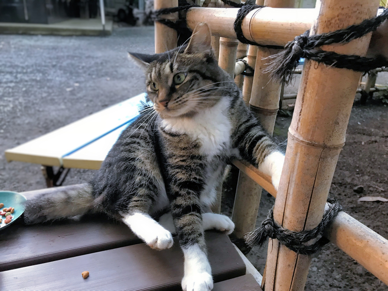 f:id:garadanikki:20180914104531j:plain