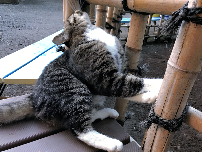 f:id:garadanikki:20180914104534j:plain