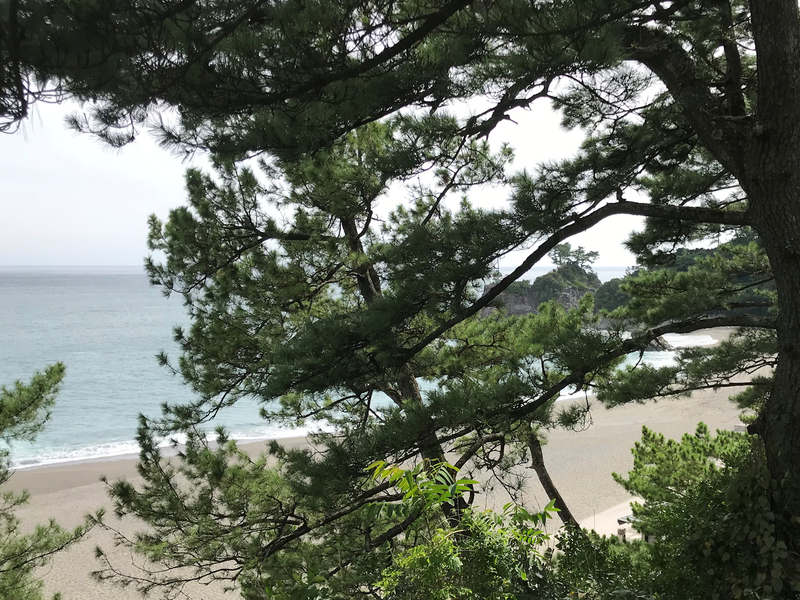 f:id:garadanikki:20181014115313j:plain