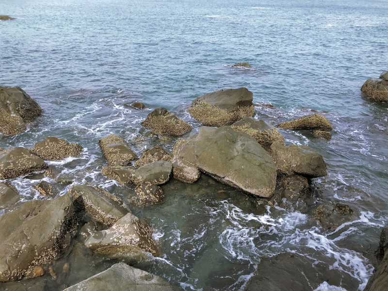 f:id:garadanikki:20181014115325j:plain