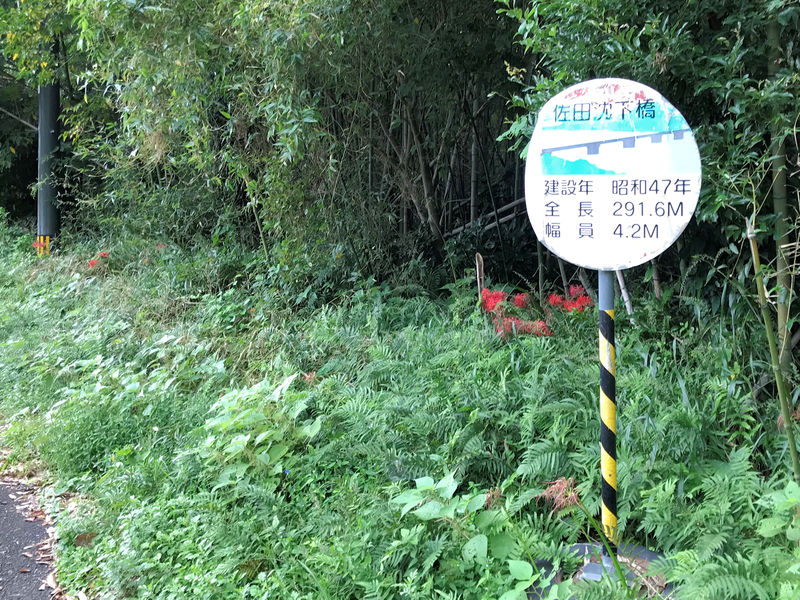 クリックすると大きくなります f:id:garadanikki:20181020153820j:plain