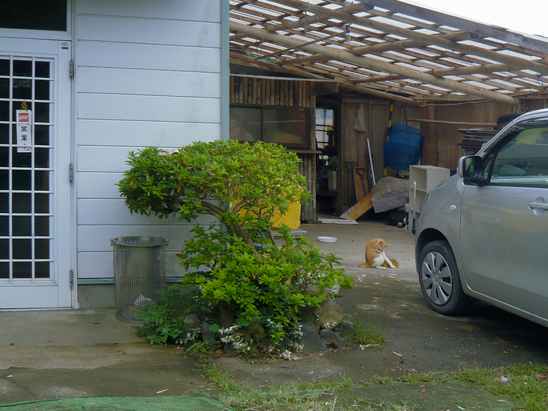 f:id:garadanikki:20181020153824j:plain f:id:garadanikki:20181020153824j:plain