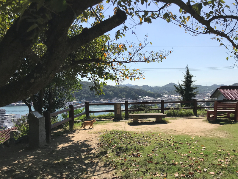 f:id:garadanikki:20181030133928j:plain
