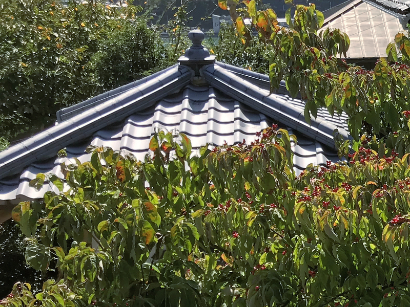 クリックすると大きくなります f:id:garadanikki:20181030134005j:plain