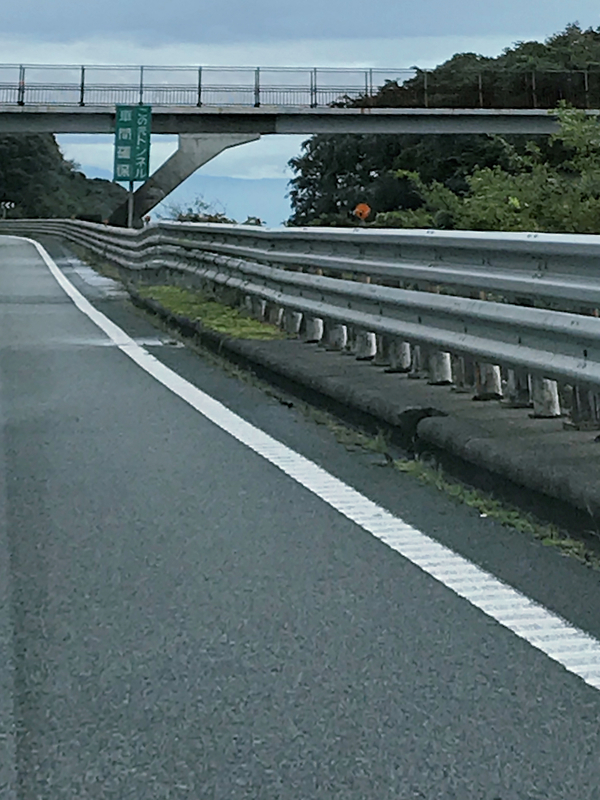 クリックすると大きくなります f:id:garadanikki:20181111111749j:plain