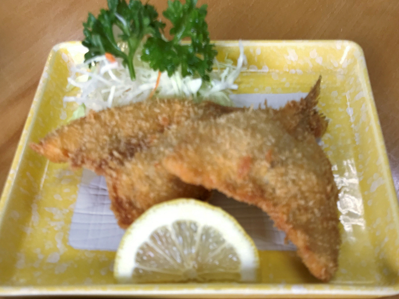 クリックすると大きくなります f:id:garadanikki:20181111111810j:plain
