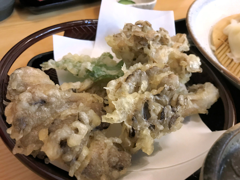 f:id:garadanikki:20181121105909j:plain