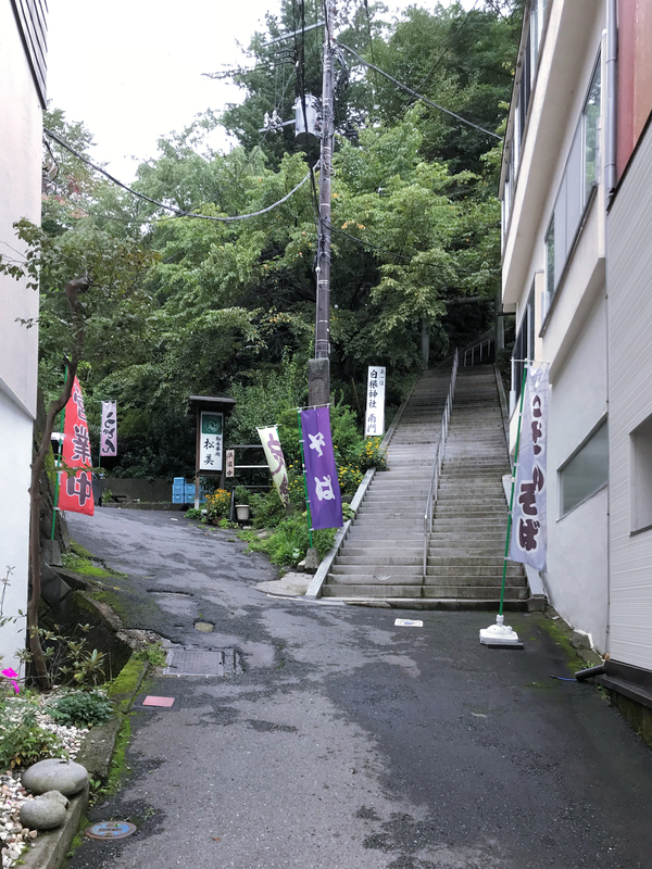 f:id:garadanikki:20181121105918j:plain