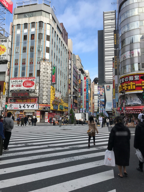 クリックすると大きくなります f:id:garadanikki:20181128105731j:plain