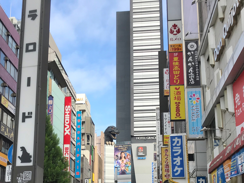 クリックすると大きくなります f:id:garadanikki:20181128105732j:plain