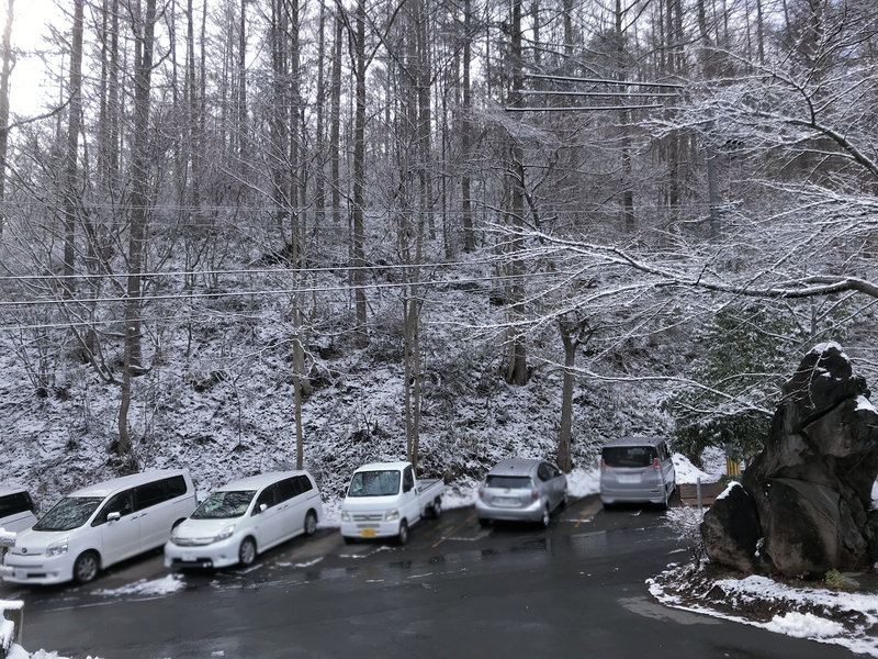 f:id:garadanikki:20181228105840j:plain