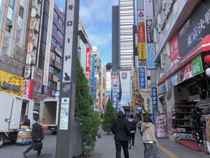 f:id:garadanikki:20190103145014j:plain