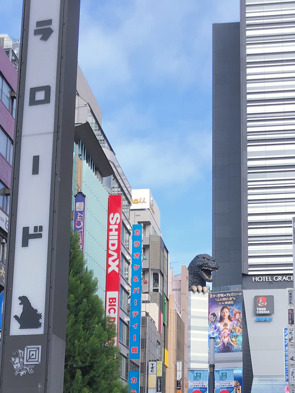 f:id:garadanikki:20190103145015j:plain