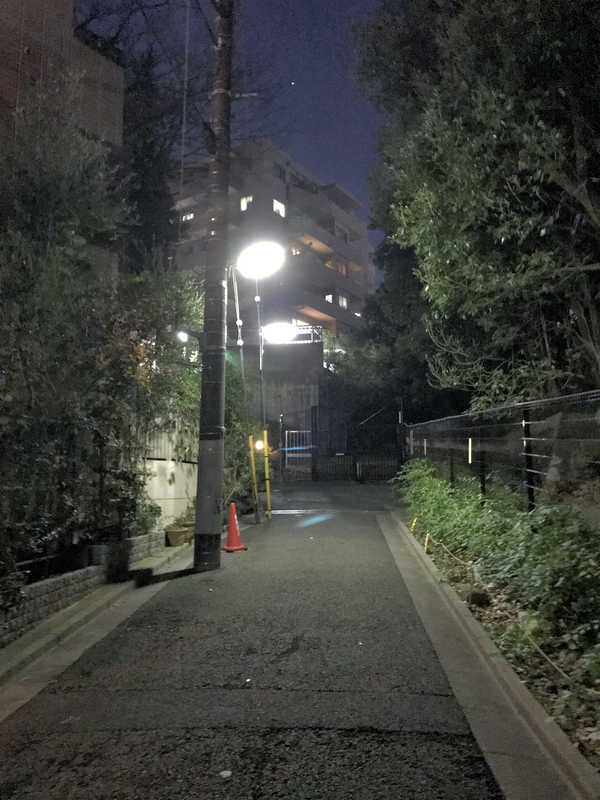 f:id:garadanikki:20190105105923j:plain