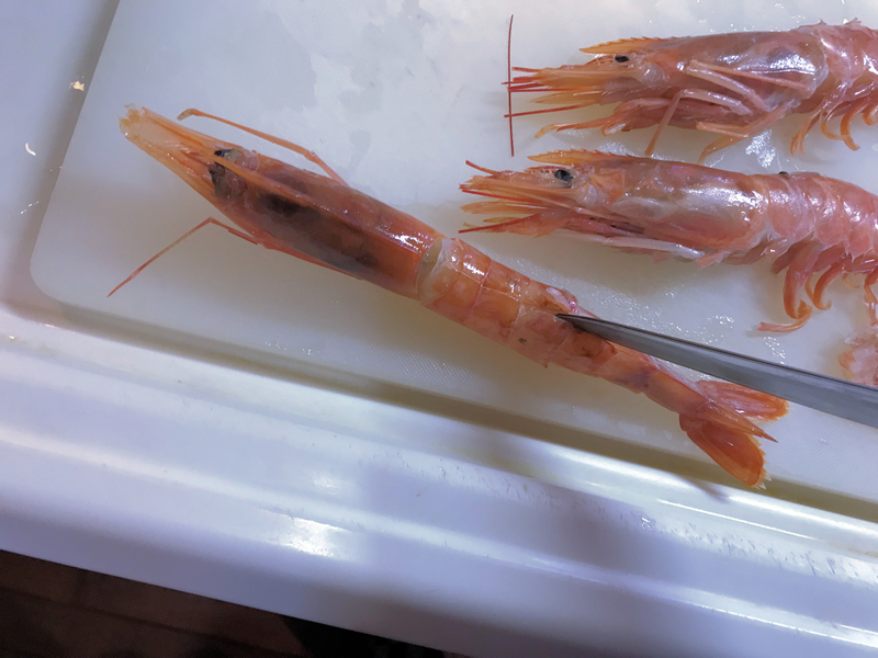 f:id:garadanikki:20190109133714j:plain