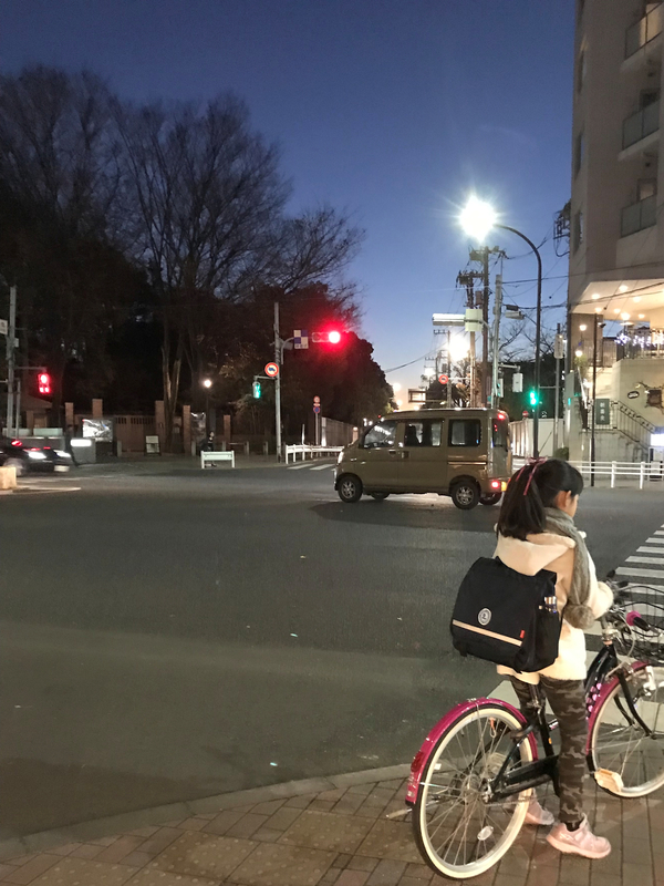 f:id:garadanikki:20190114065903j:plain