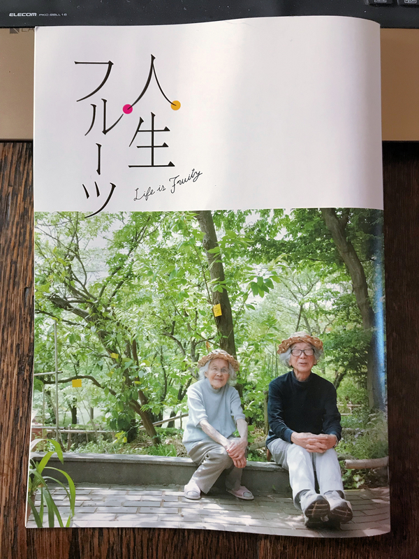 クリックすると大きくなります f:id:garadanikki:20190204112310j:plain