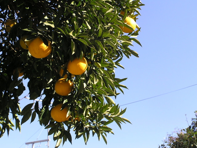 f:id:garadanikki:20190204121323j:plain f:id:garadanikki:20190204121323j:plain