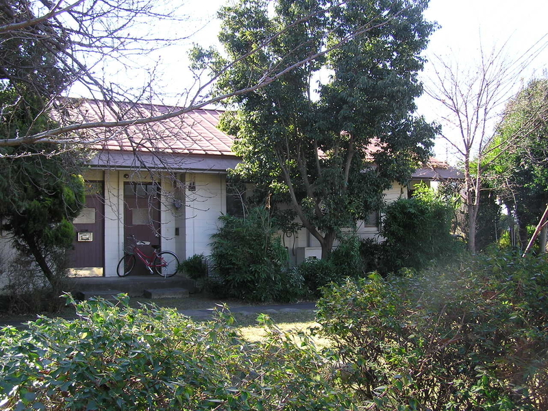 f:id:garadanikki:20190204121324j:plain f:id:garadanikki:20190204121324j:plain