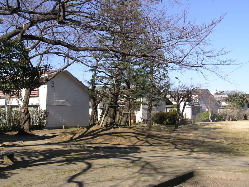 f:id:garadanikki:20190204121343j:plain f:id:garadanikki:20190204121343j:plain