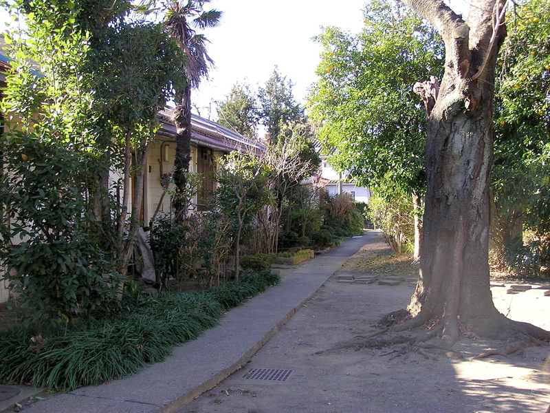 f:id:garadanikki:20190204121344j:plain f:id:garadanikki:20190204121344j:plain