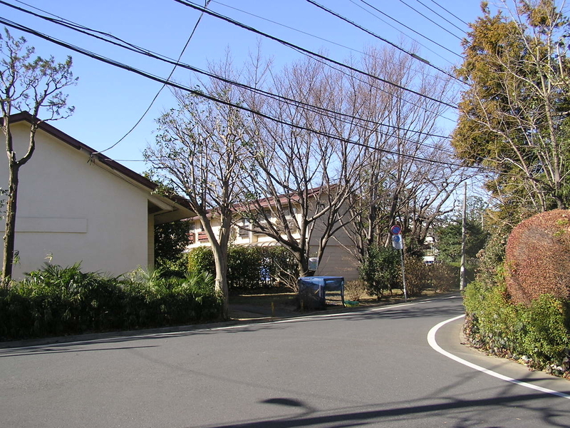 f:id:garadanikki:20190204121347j:plain