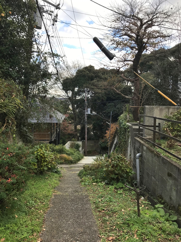 f:id:garadanikki:20190206020122j:plain