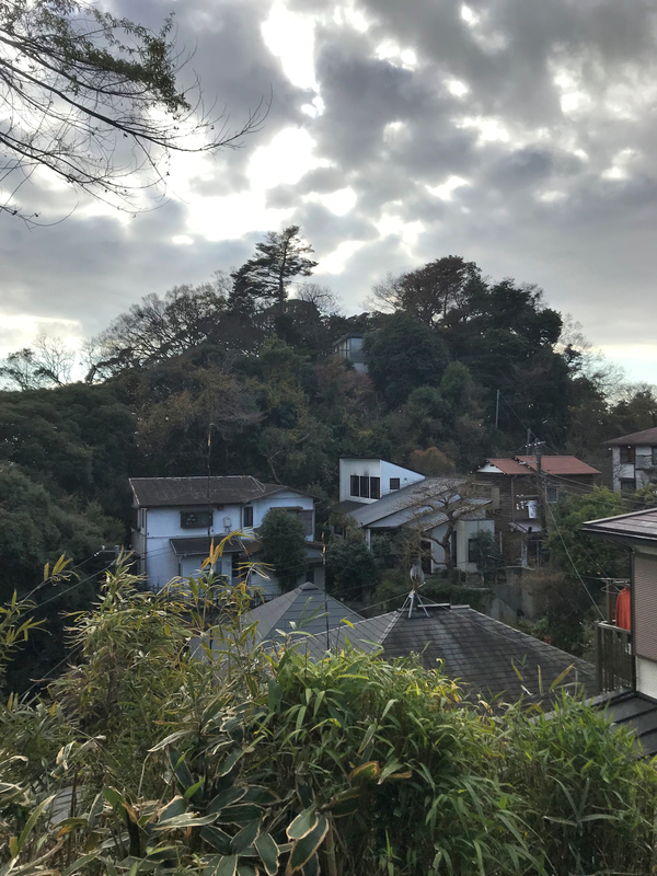 f:id:garadanikki:20190206020123j:plain