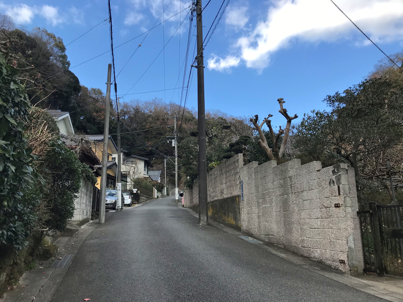 f:id:garadanikki:20190206020132j:plain