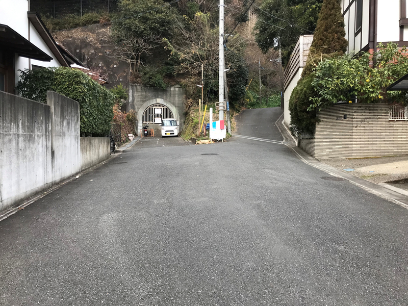 f:id:garadanikki:20190206020133j:plain