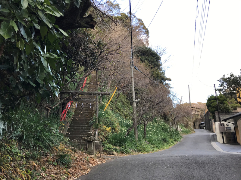 f:id:garadanikki:20190206020145j:plain