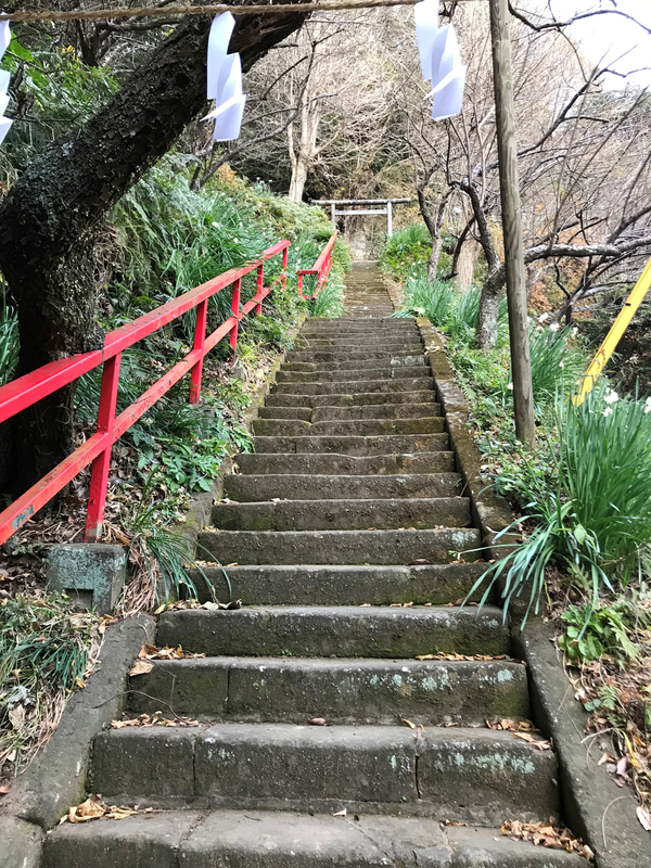 f:id:garadanikki:20190206020148j:plain