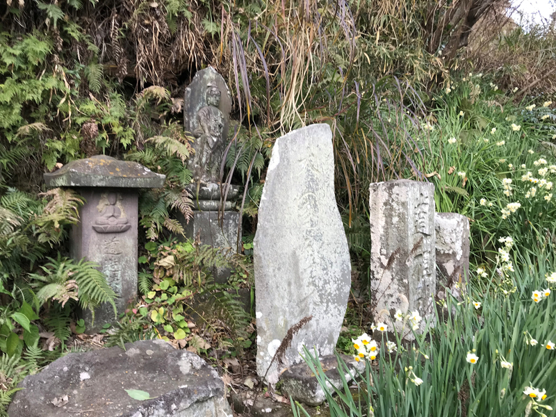 f:id:garadanikki:20190206020153j:plain