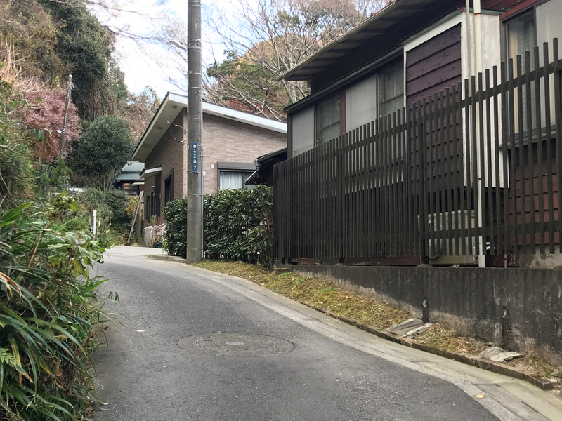f:id:garadanikki:20190206020155j:plain