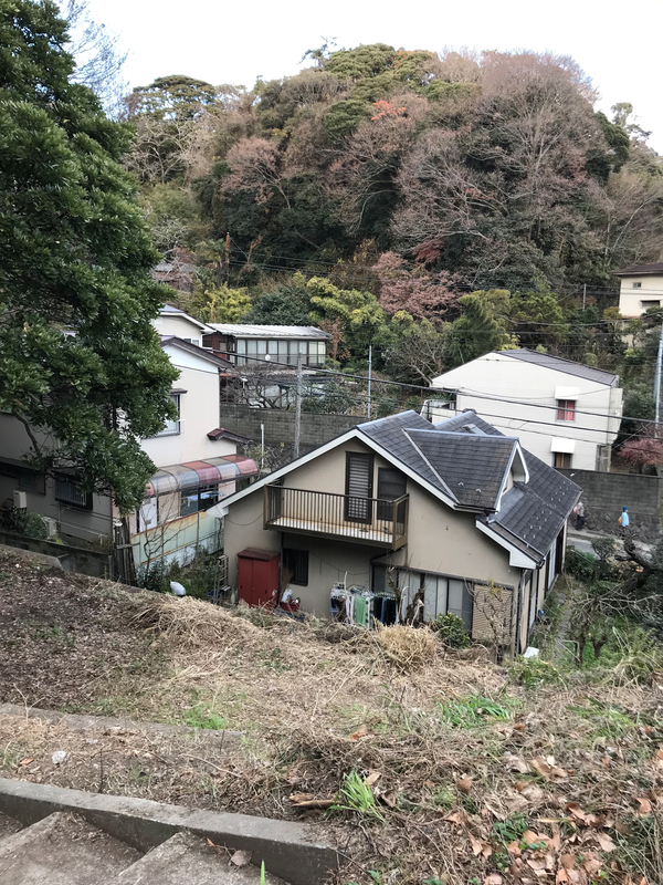 f:id:garadanikki:20190206020202j:plain
