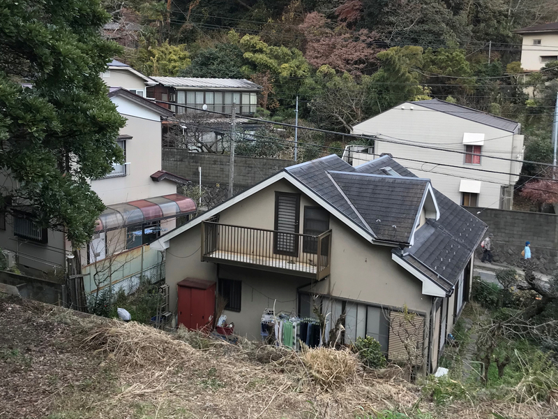 f:id:garadanikki:20190206020203j:plain