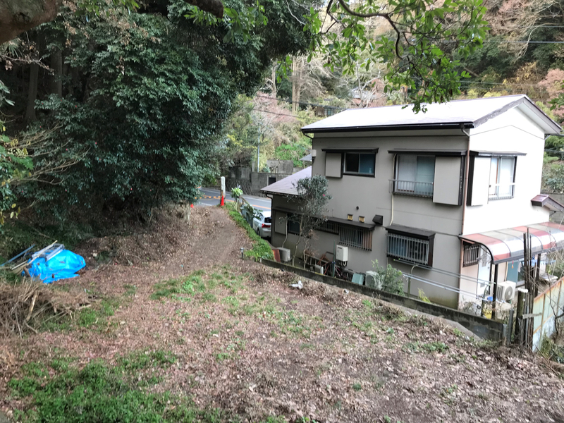 f:id:garadanikki:20190206020206j:plain