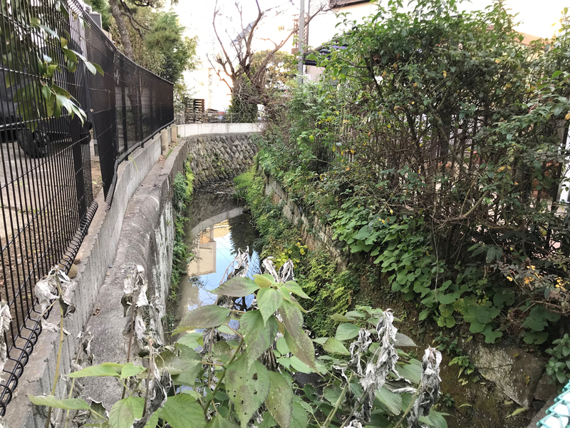 f:id:garadanikki:20190206020219j:plain